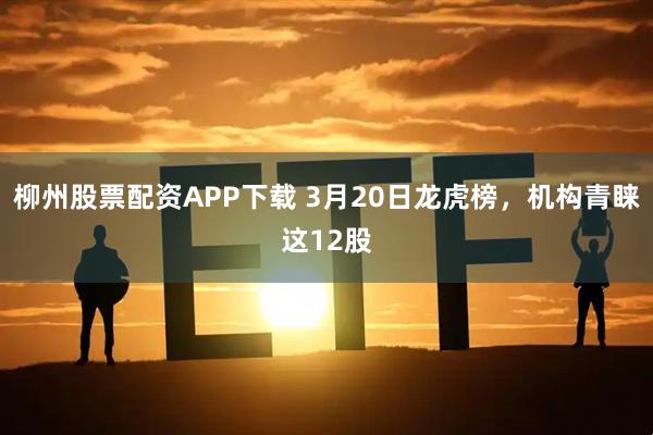 柳州股票配资APP下载 3月20日龙虎榜，机构青睐这12股